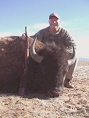 Buffalo Hunting