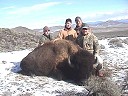 Buffalo Hunting