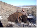 Buffalo Hunting