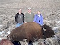 Buffalo Hunting