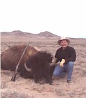 Buffalo Hunting