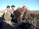 Buffalo Hunting