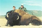 Buffalo Hunting