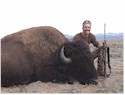 Buffalo Hunting